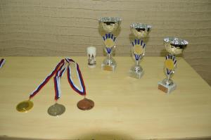 Meddruštveni turnir v pikadu v Bočni 5